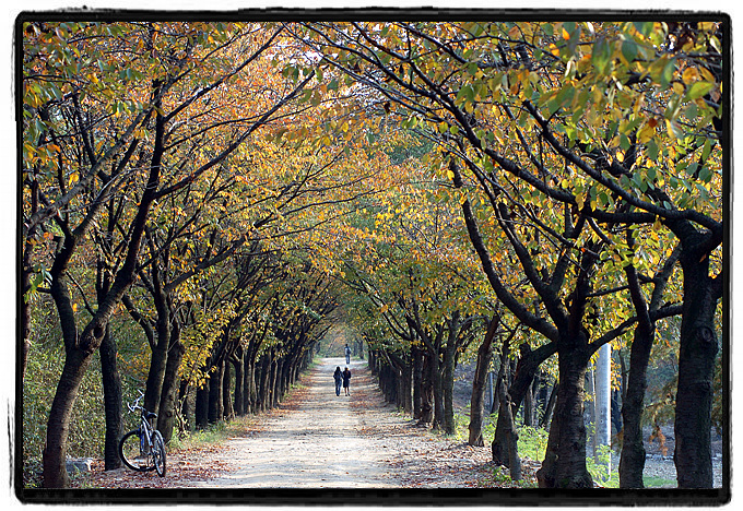 Campus-Autumn